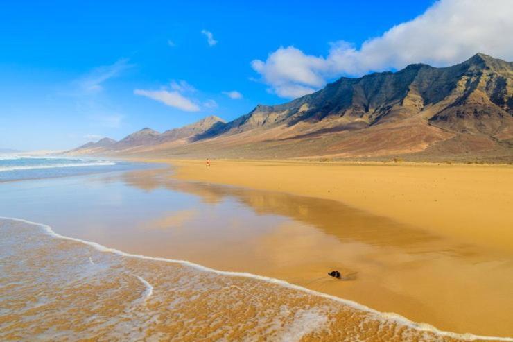 Canary Getaway Калета-де-Фусте Экстерьер фото